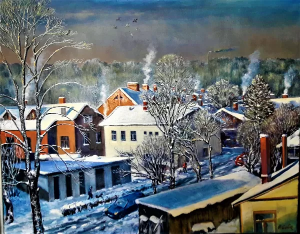 Limbaži 2019. g. ziema.
